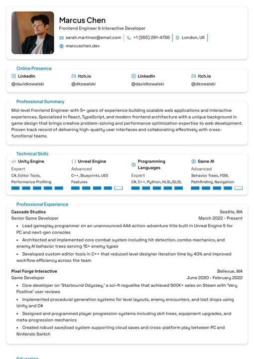 Premium template preview